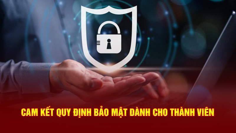 cam kết quy định bảo mật dành cho thành viên