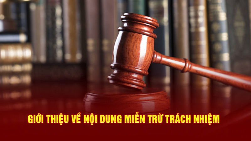 giới thiệu về nội dung miễn trừ trách nhiệm