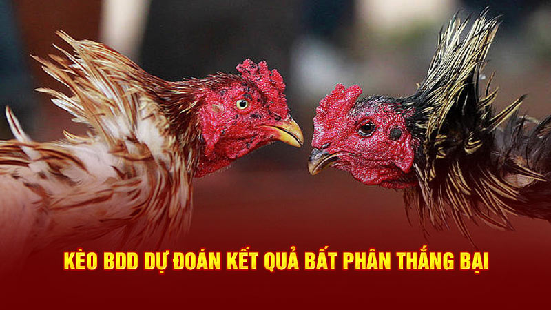 kèo bđ dự đoán kết quả bất phân thắng bại